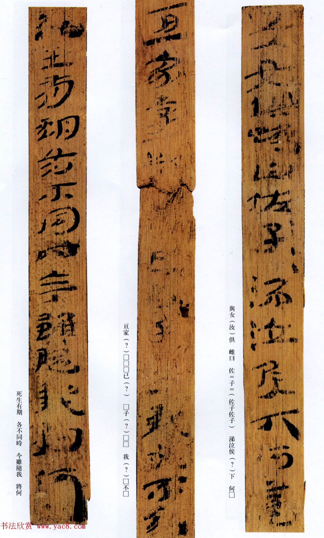 西汉草隶书法竹简《神乌傅》高清本