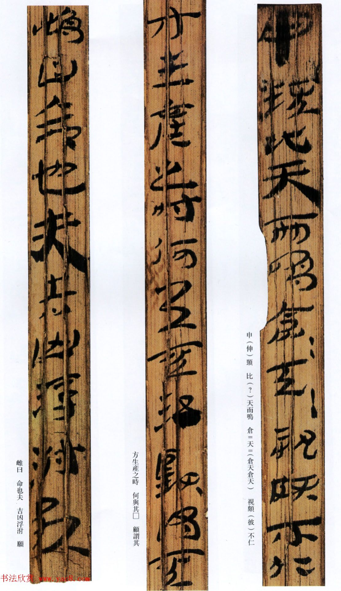 西汉草隶书法竹简《神乌傅》高清本