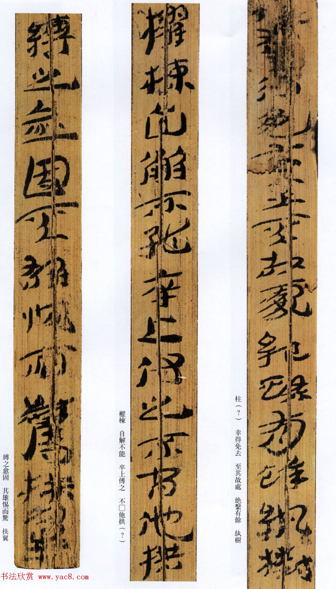 西汉草隶书法竹简《神乌傅》高清本