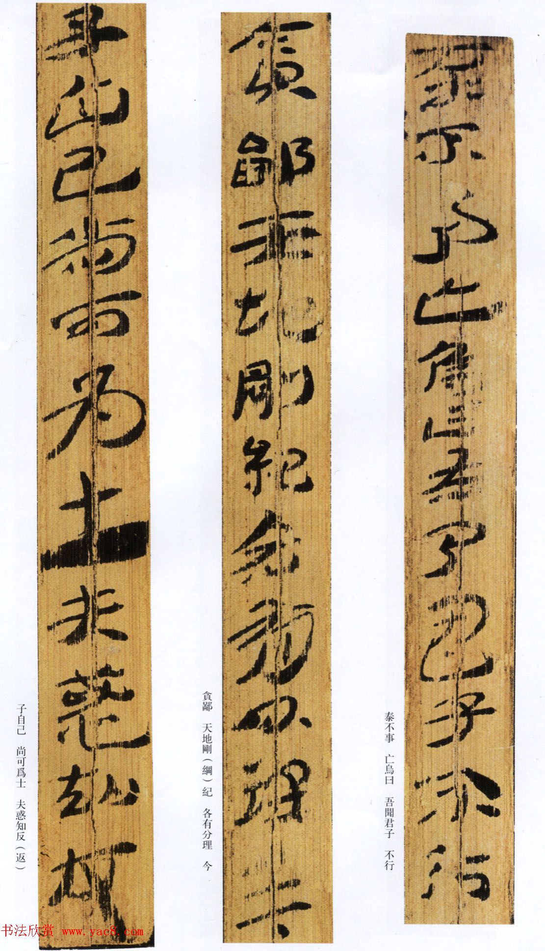 西汉草隶书法竹简《神乌傅》高清本