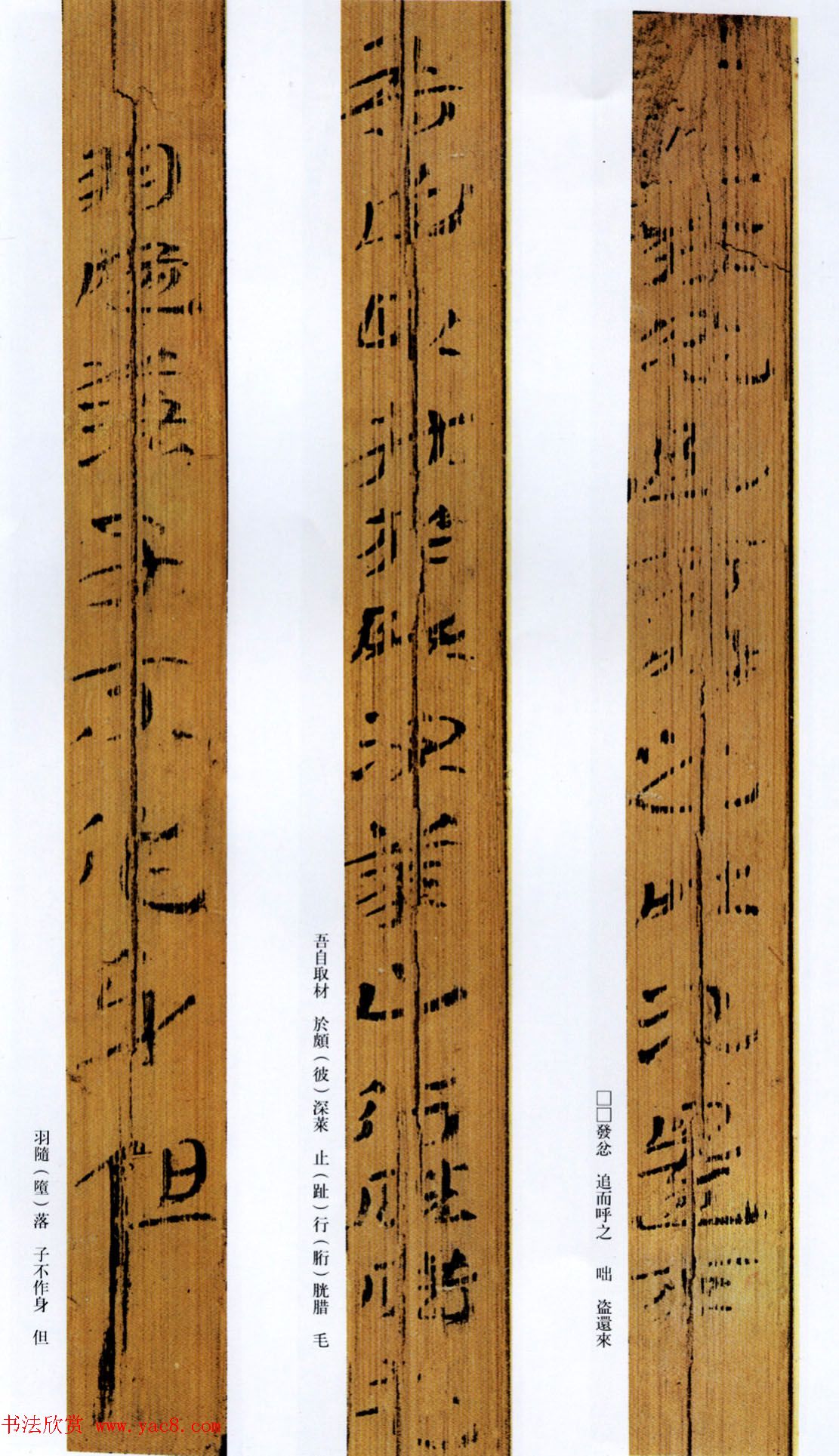 西汉草隶书法竹简《神乌傅》高清本