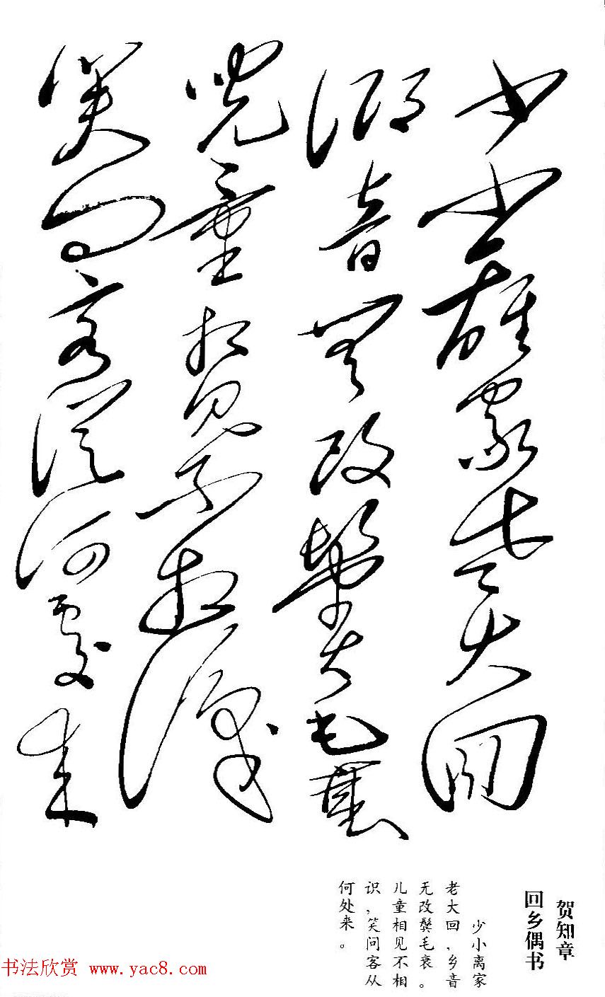 毛泽东书法墨迹欣赏《古诗词句》