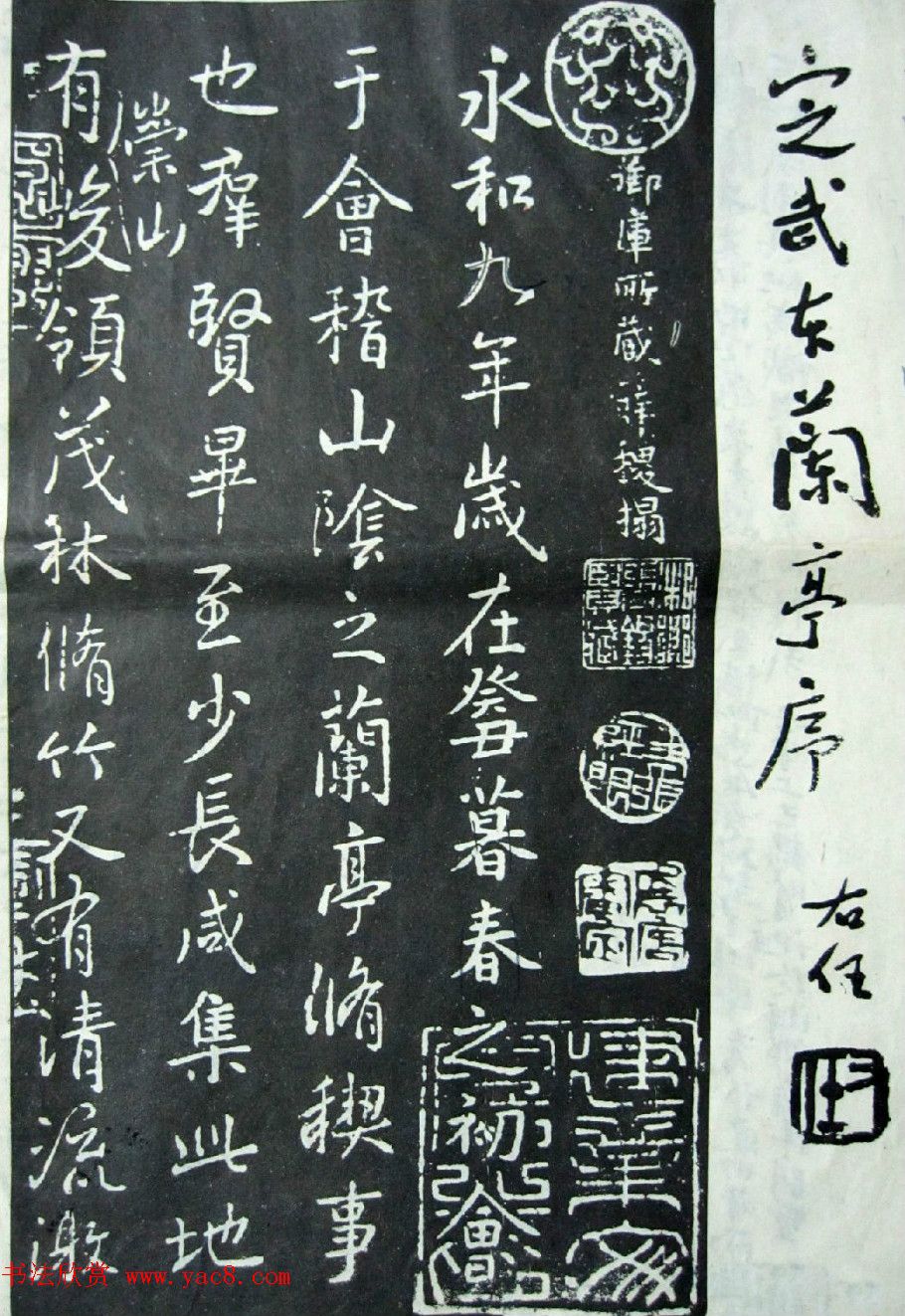 唐代薛稷书法《宋御库所藏薛稷拓兰亭序》