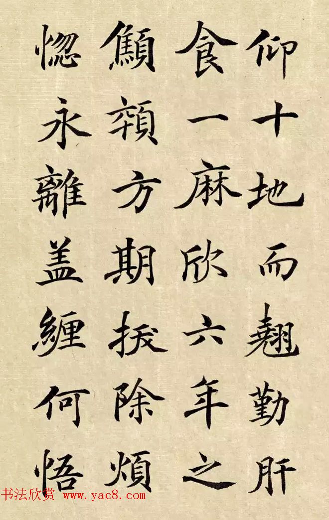 张沧楷书临大唐王居士砖塔铭