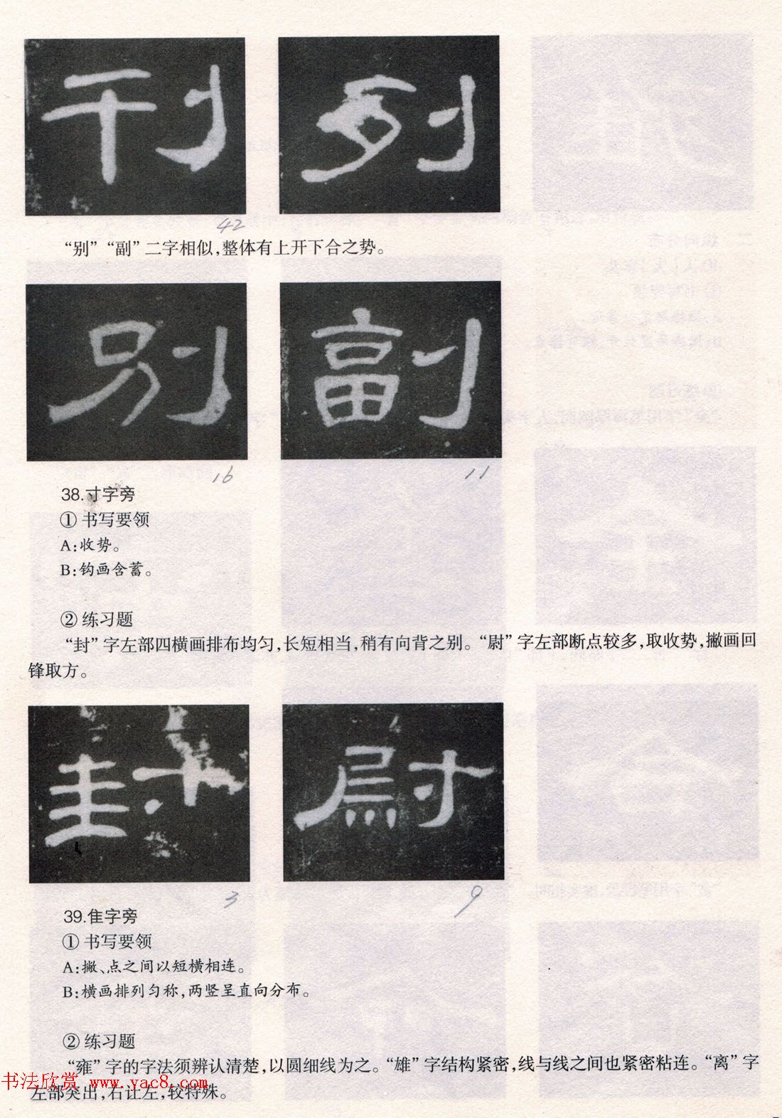 书法教程《曹全碑技法--偏旁部首》