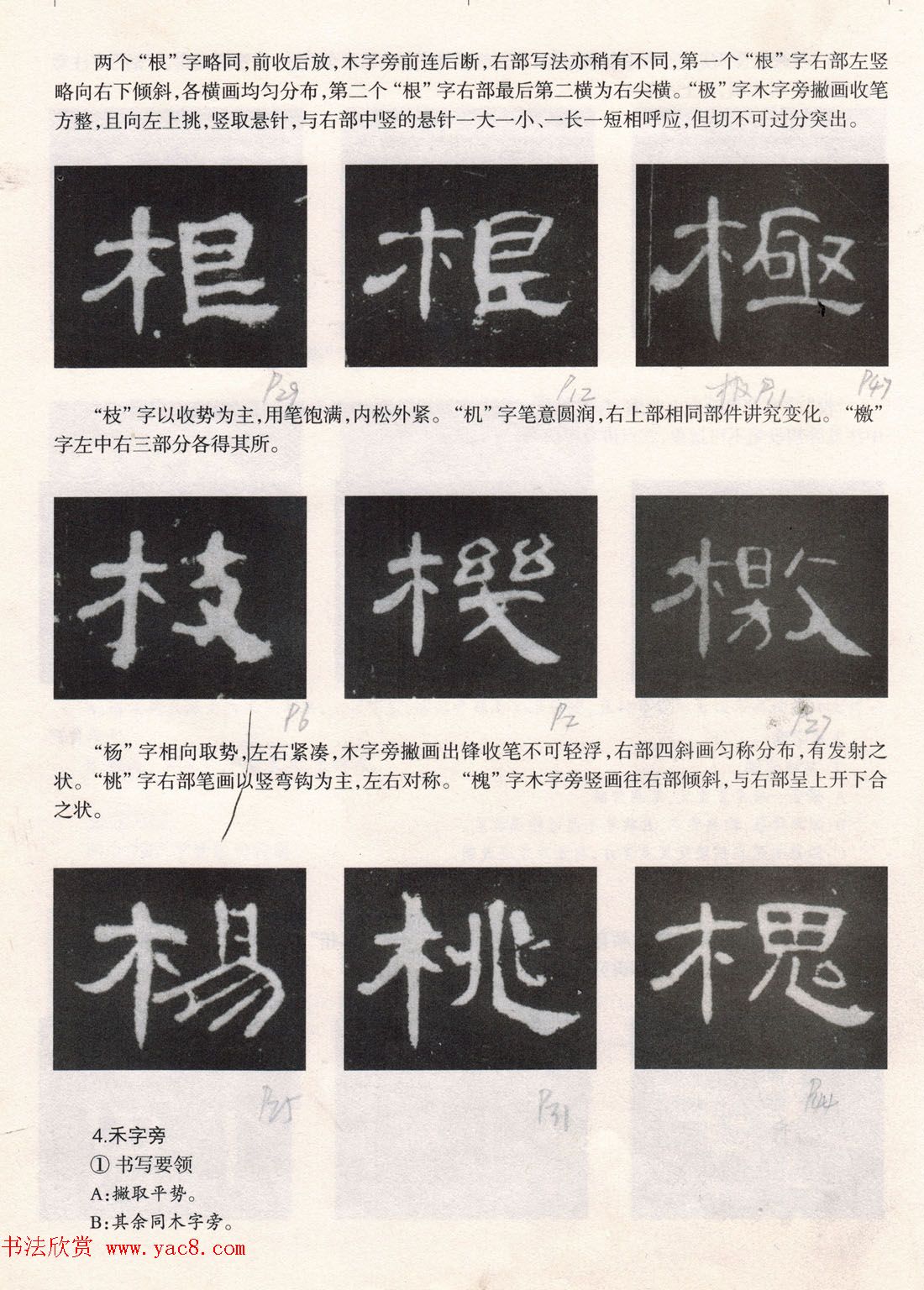 书法教程《曹全碑技法--偏旁部首》