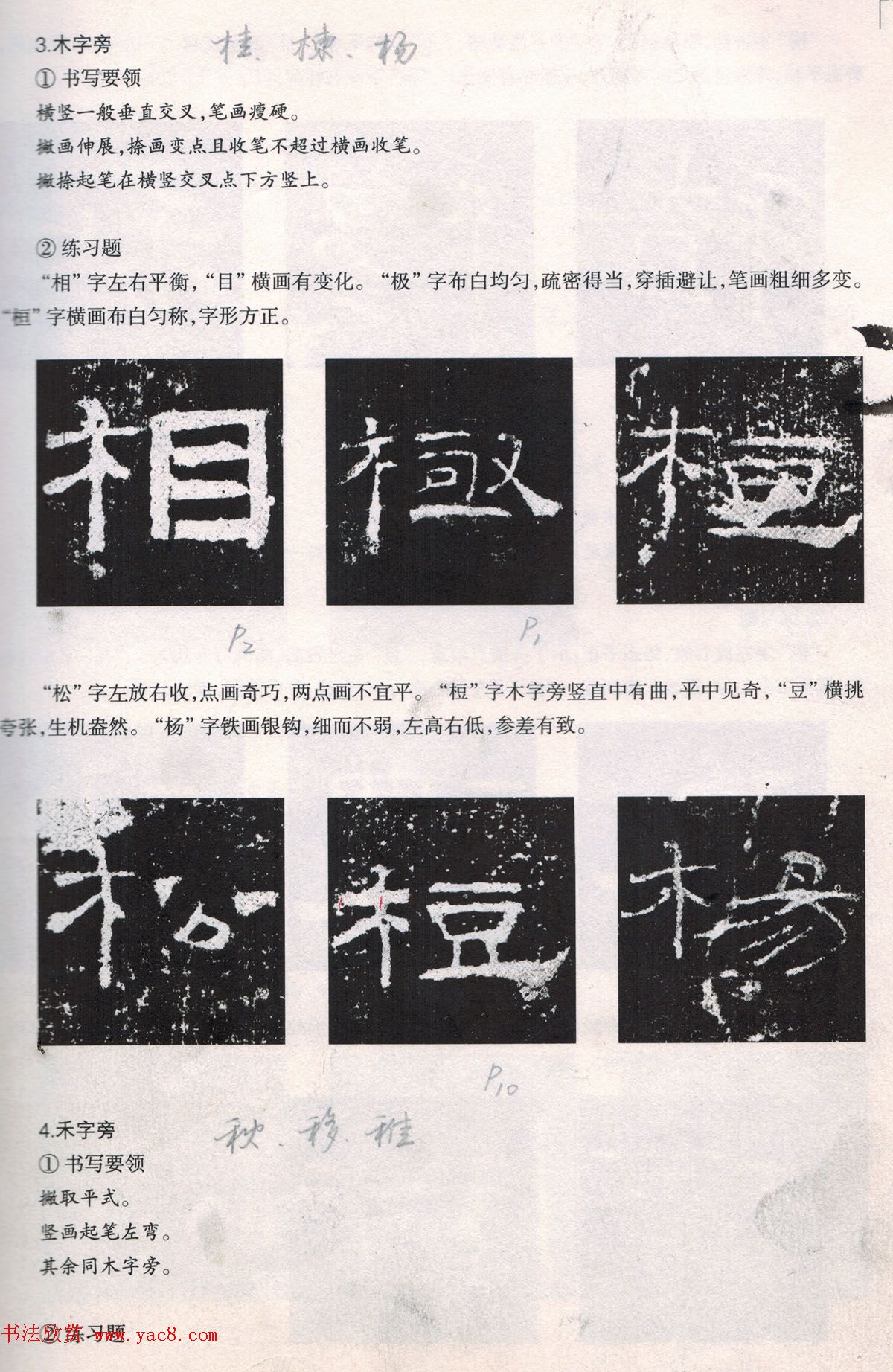 书法教程《礼器碑技法--偏旁部首》