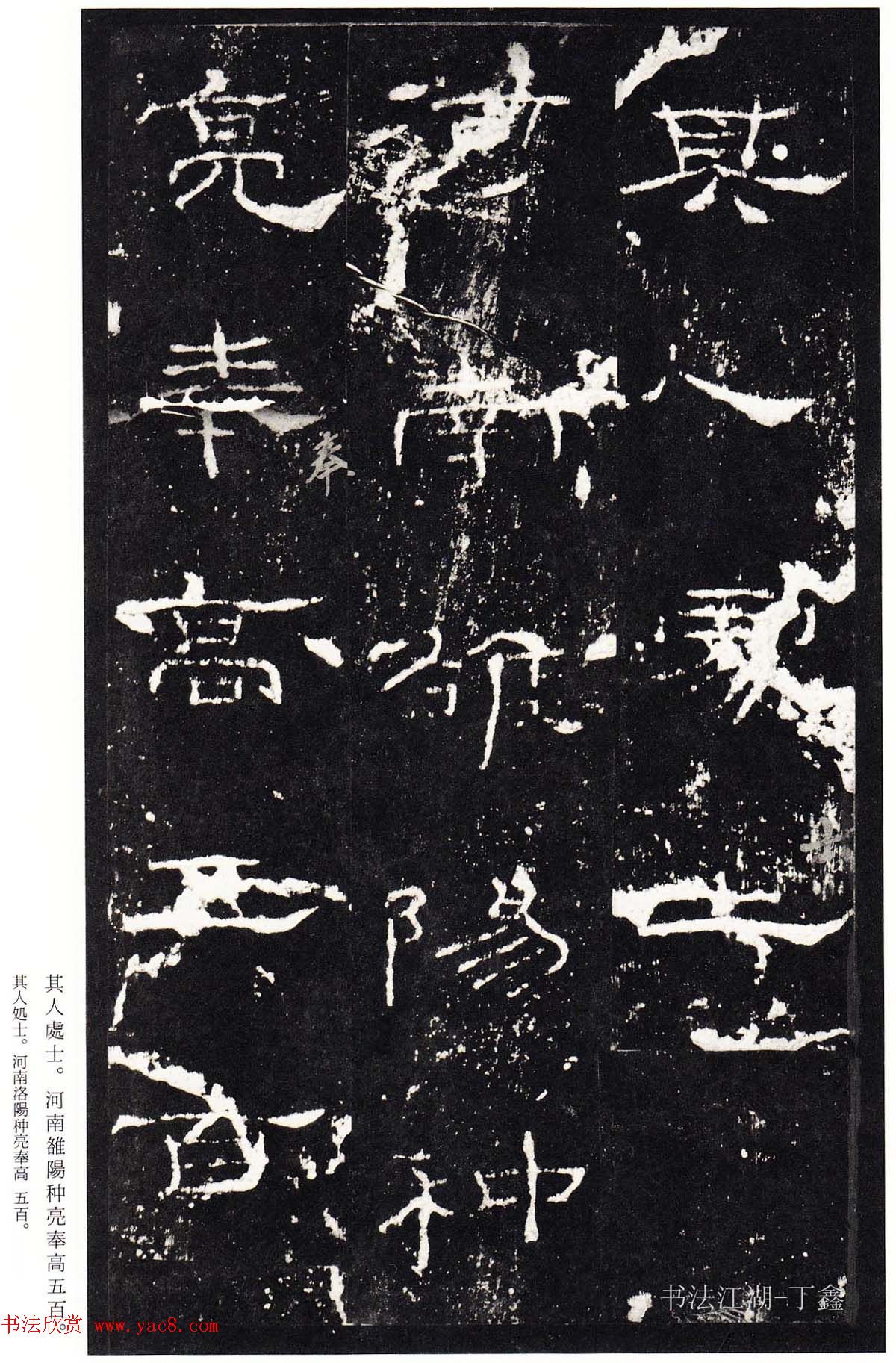 隶书楷模《礼器碑碑阴》二玄社本