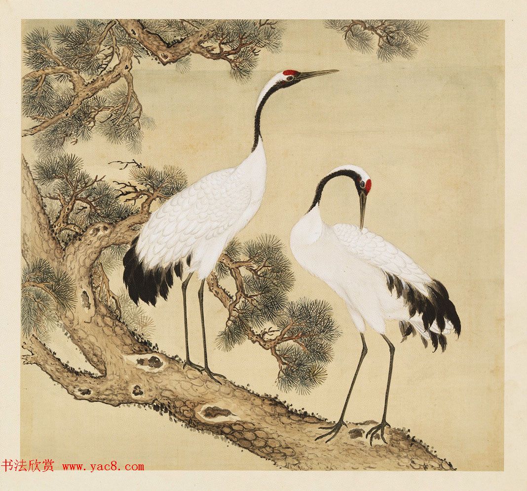 汉文满文字画欣赏《清人鸟谱册》