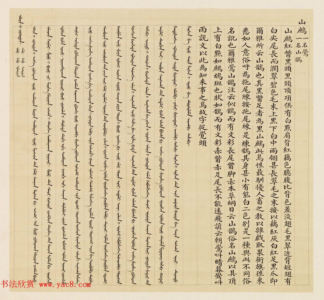 汉文满文字画欣赏《清人鸟谱册》