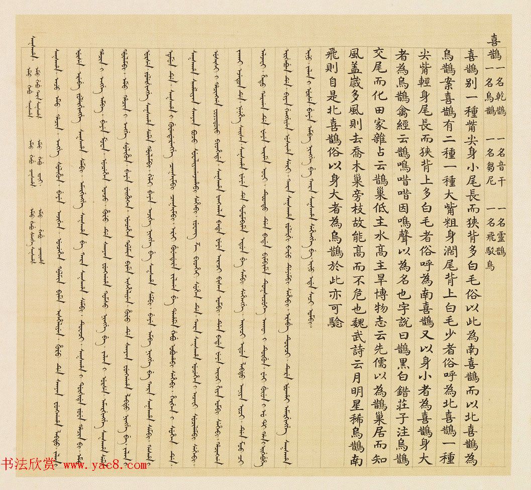 汉文满文字画欣赏《清人鸟谱册》