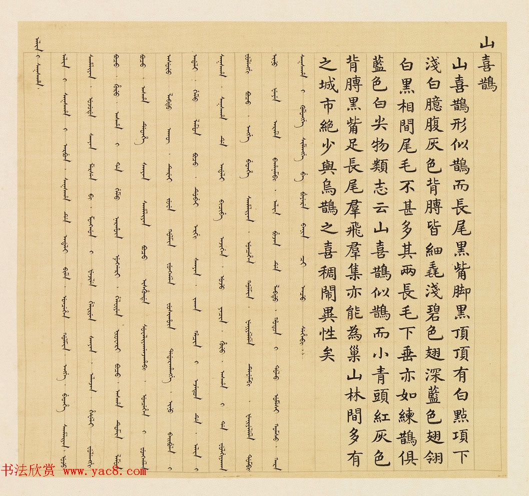 汉文满文字画欣赏《清人鸟谱册》