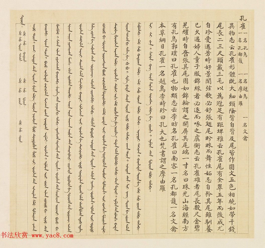 汉文满文字画欣赏《清人鸟谱册》