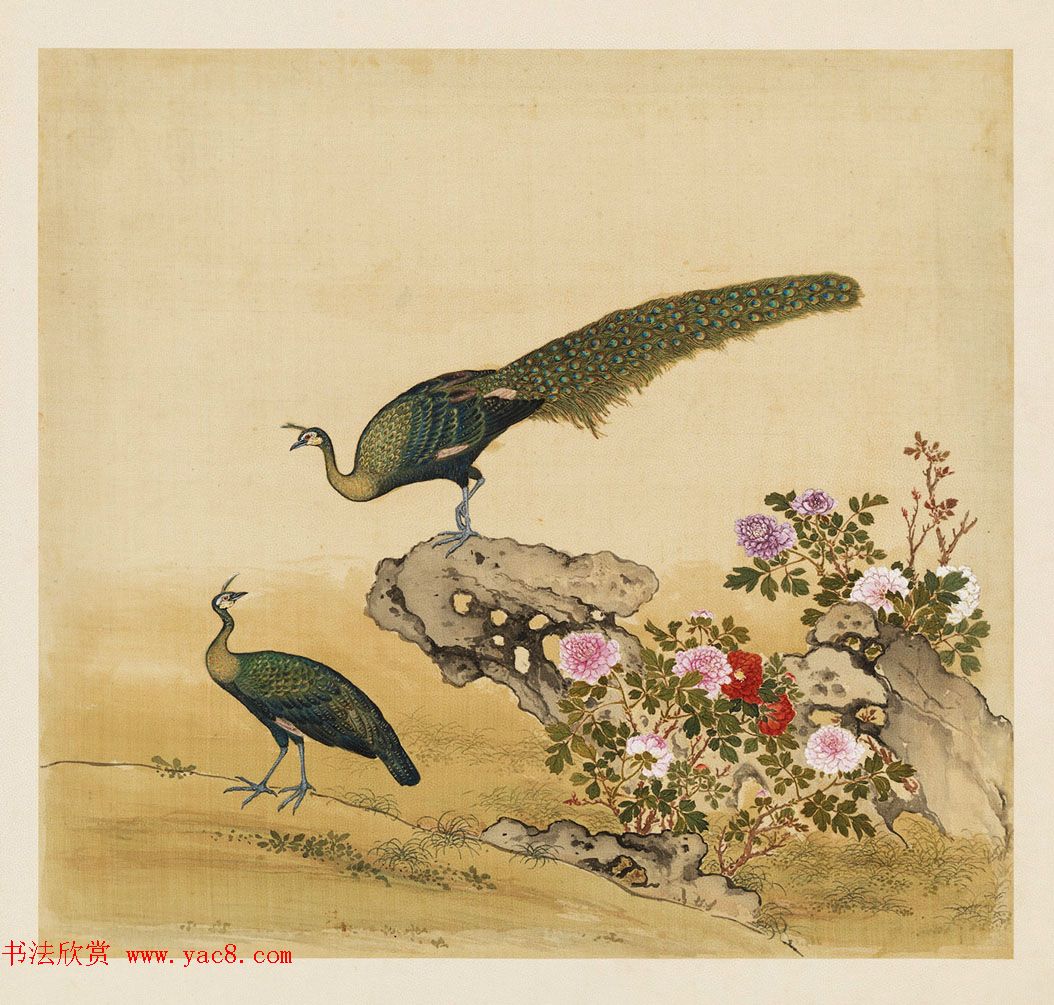 汉文满文字画欣赏《清人鸟谱册》