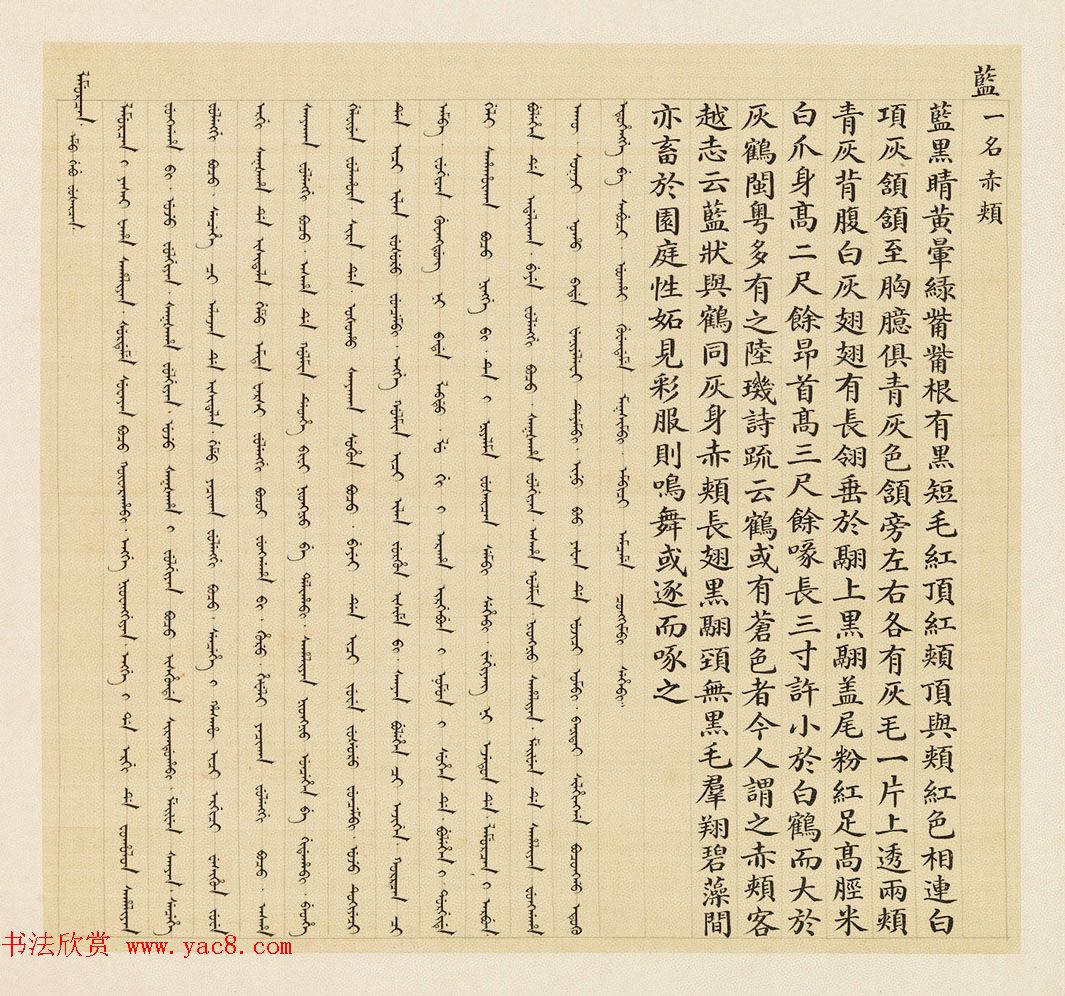 汉文满文字画欣赏《清人鸟谱册》
