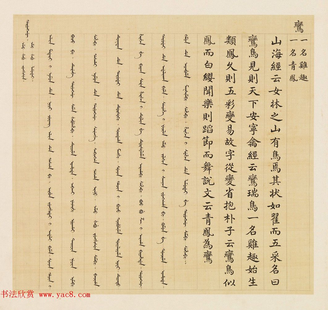 汉文满文字画欣赏《清人鸟谱册》