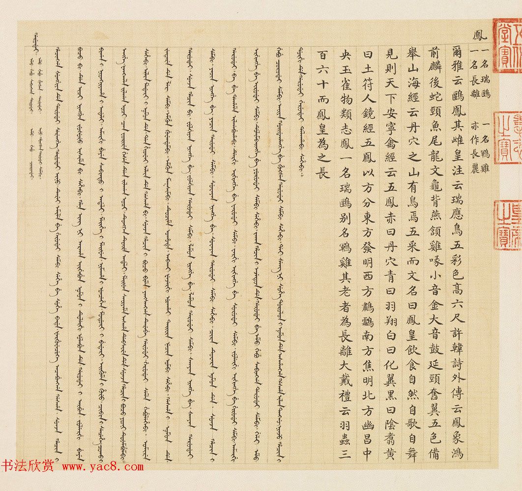 汉文满文字画欣赏《清人鸟谱册》