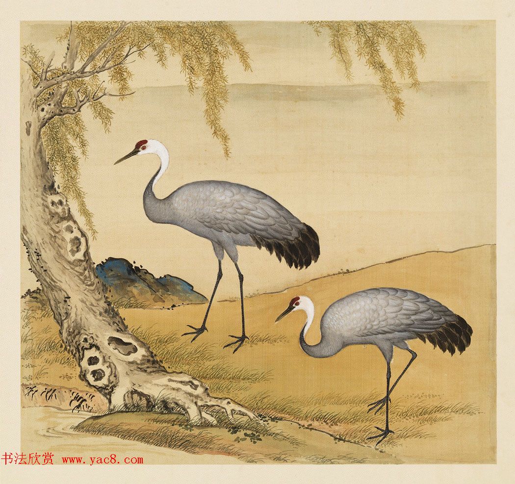 汉文满文字画欣赏《清人鸟谱册》