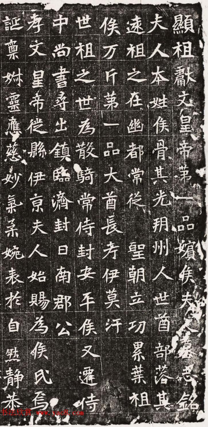 北魏书法石刻元弘嫔侯氏墓志