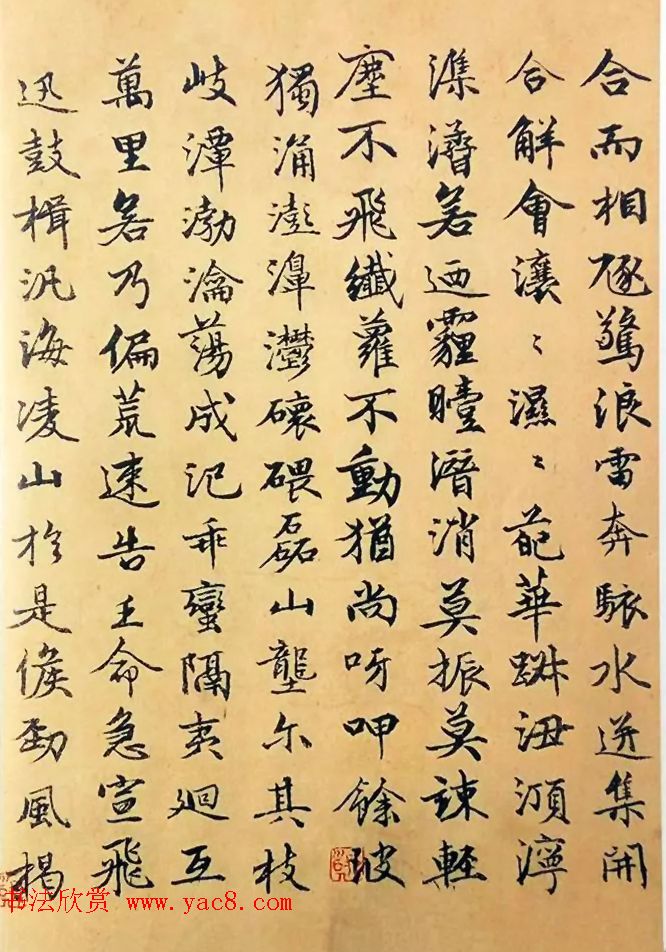 赵孟頫50岁行楷书法册页《海赋》两种