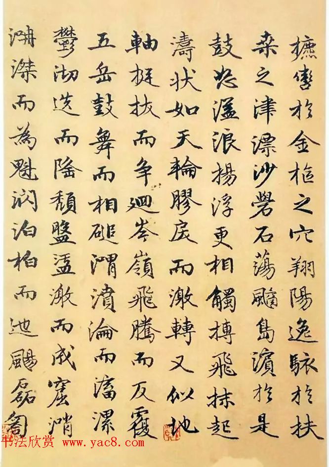 赵孟頫50岁行楷书法册页《海赋》两种