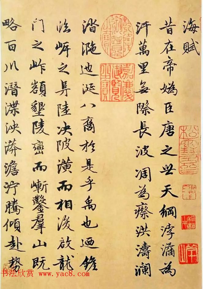 赵孟頫50岁行楷书法册页《海赋》两种