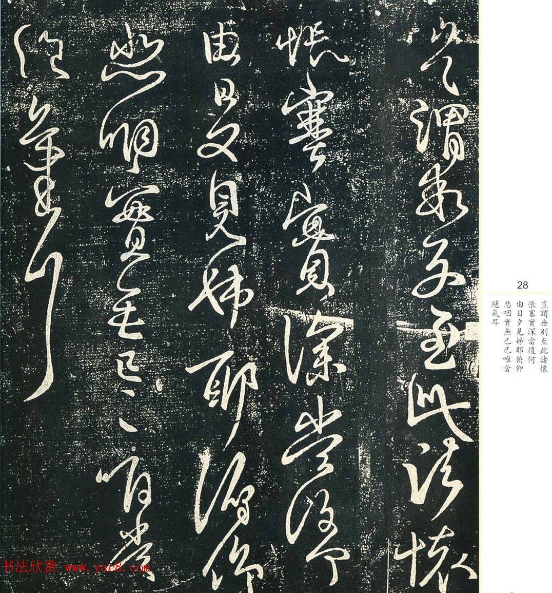 王献之33岁行草书法《奉对帖》两种