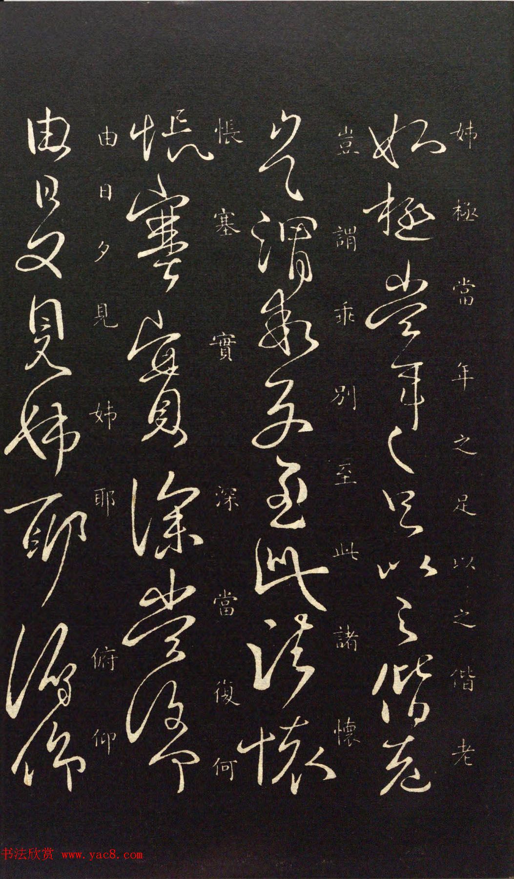 王献之33岁行草书法《奉对帖》两种