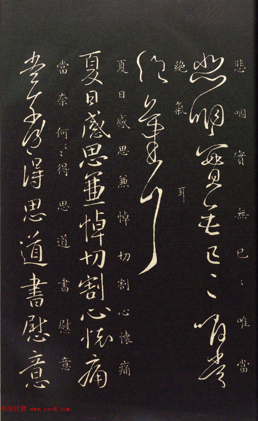 王献之33岁行草书法《奉对帖》两种