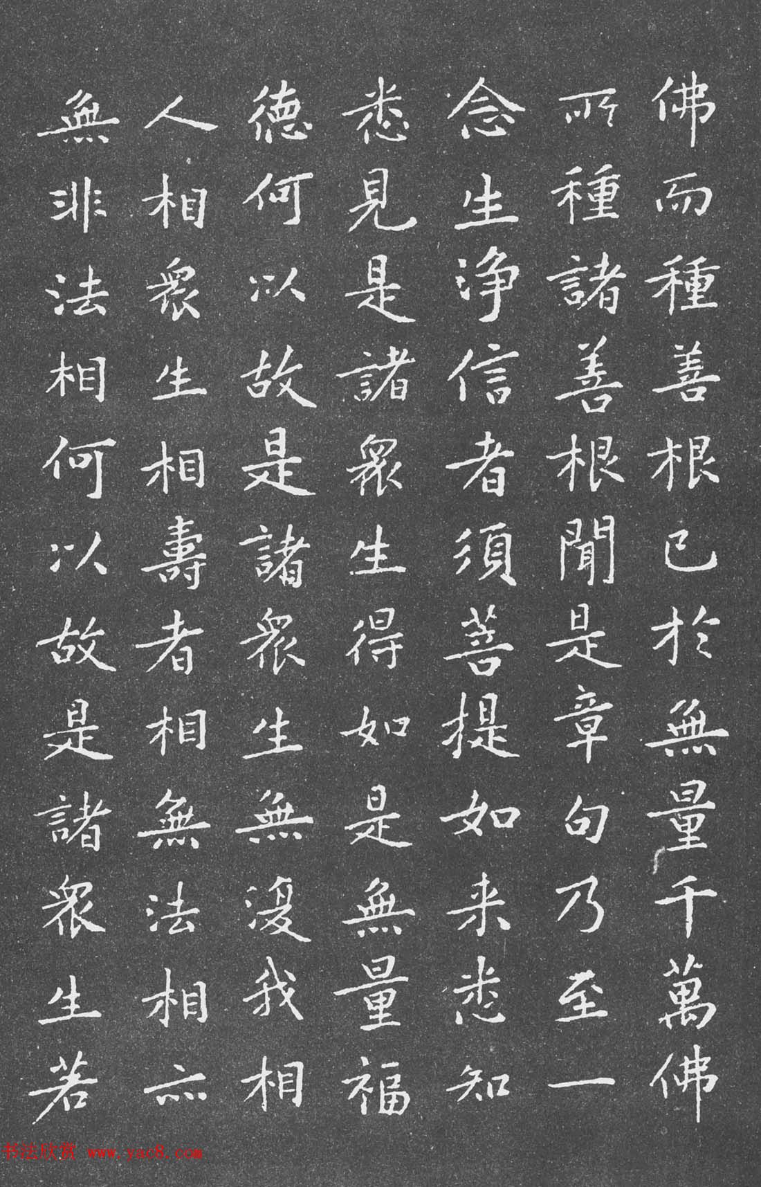 宋代黄庭坚小楷《金刚经》拓本