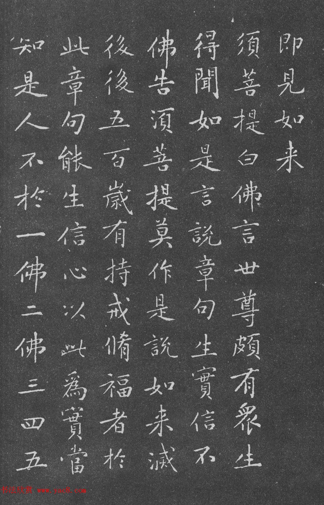 宋代黄庭坚小楷《金刚经》拓本