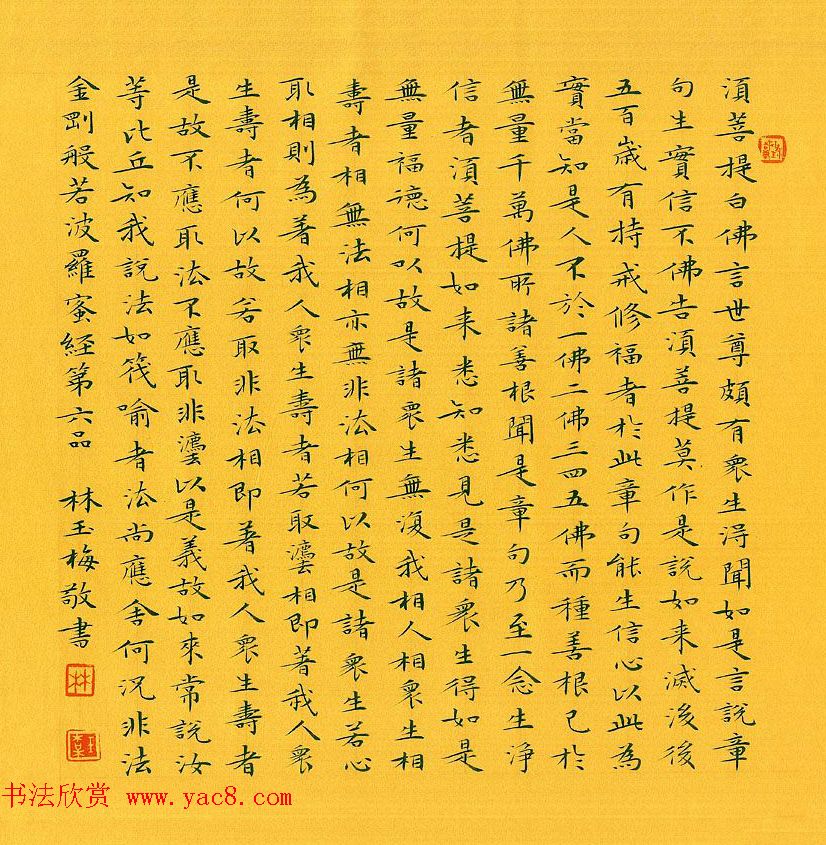 漳州市女书法家林玉梅小楷金刚经