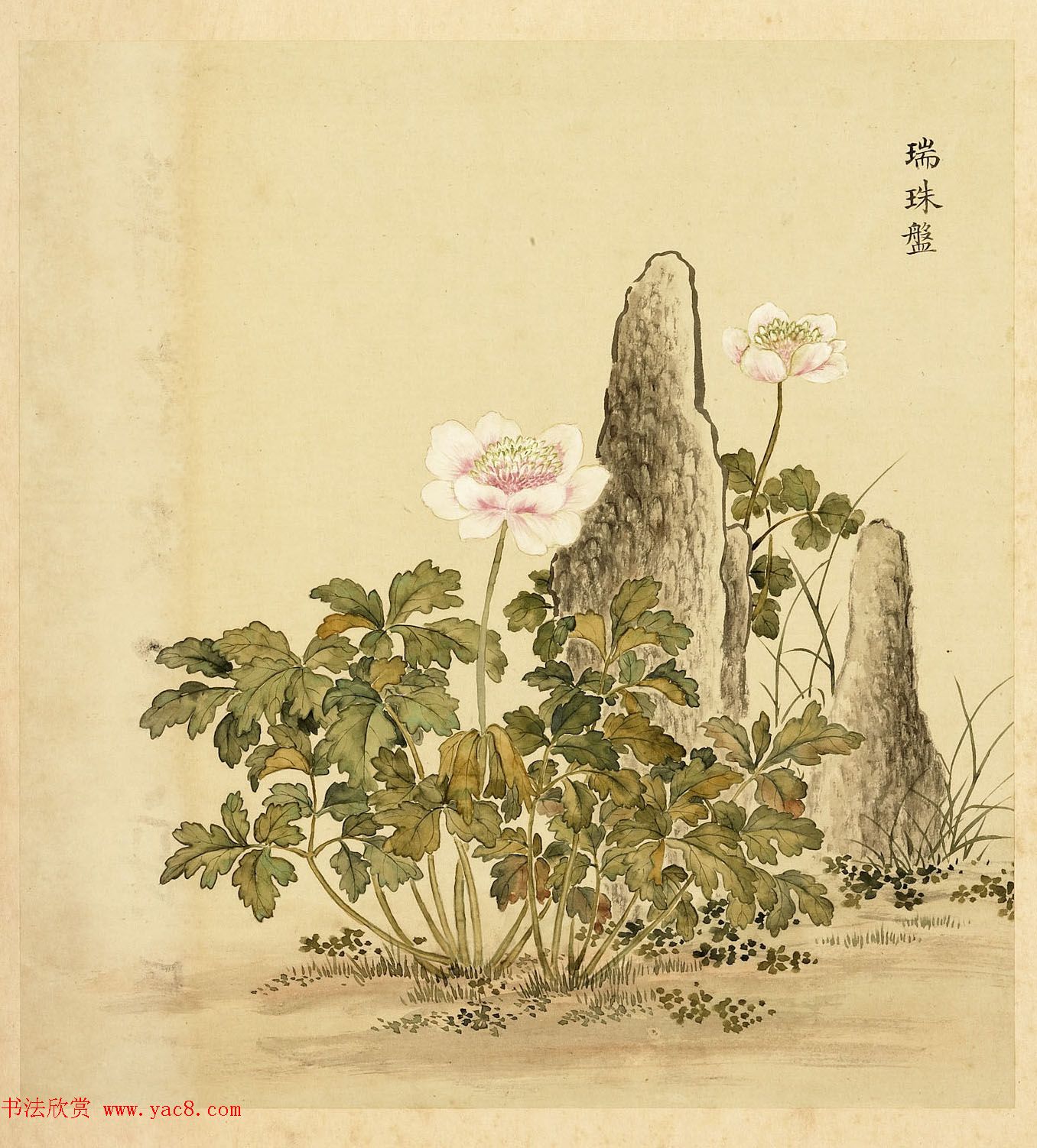 字画册页《海西杂卉》余省绘画+于敏中书法