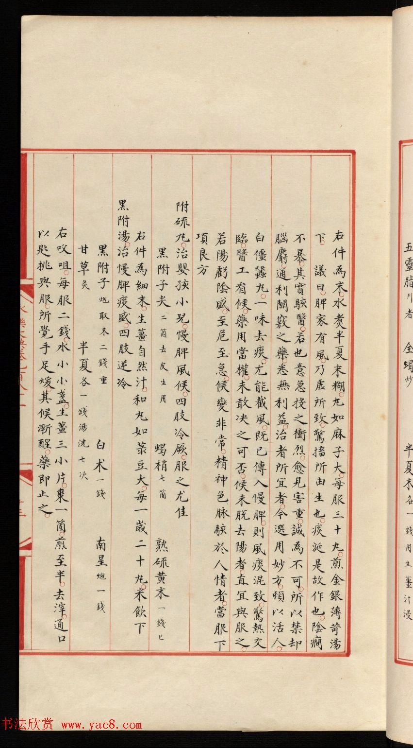 小楷钞本《永乐大典981卷-小儿证治十四》康有为收藏