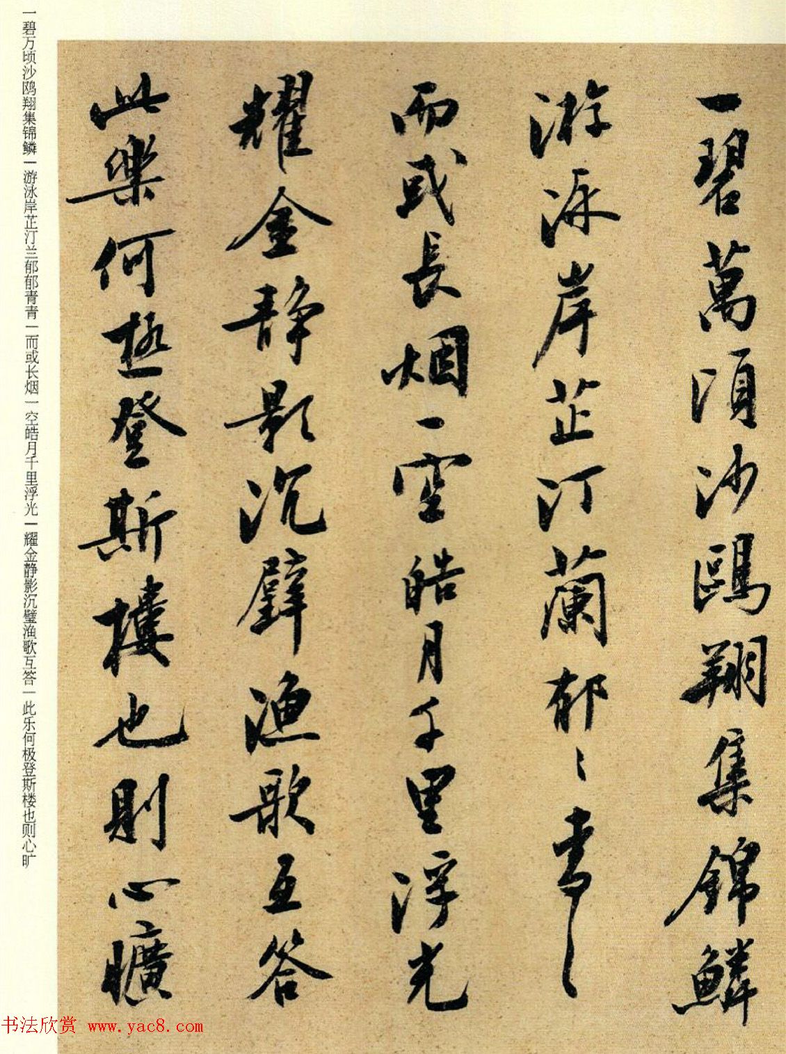 刘小晴行书欣赏《岳阳楼记》