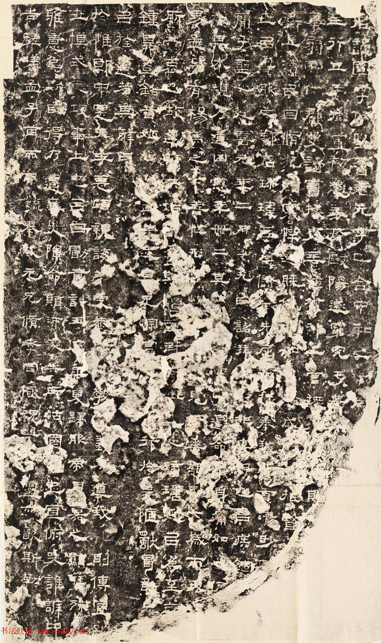 善本碑帖--东汉隶书《郎中郑固碑》