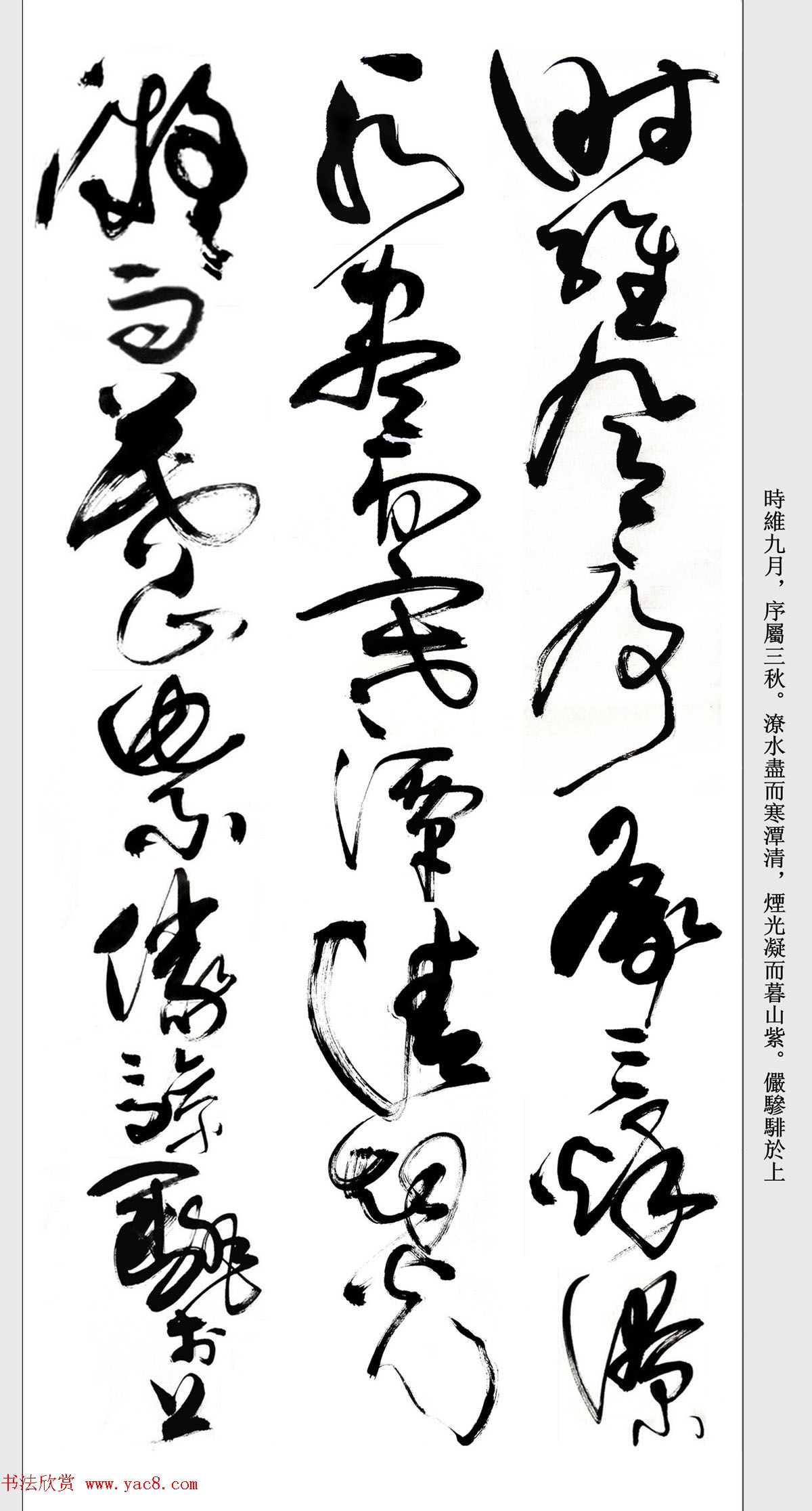 书法精粹《亢银中草书滕王阁序》