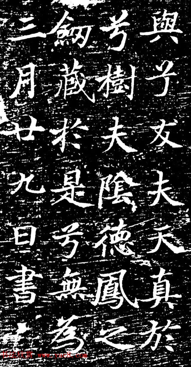 女道士杨法行墓志《唐至德观上座杨仙师志文》