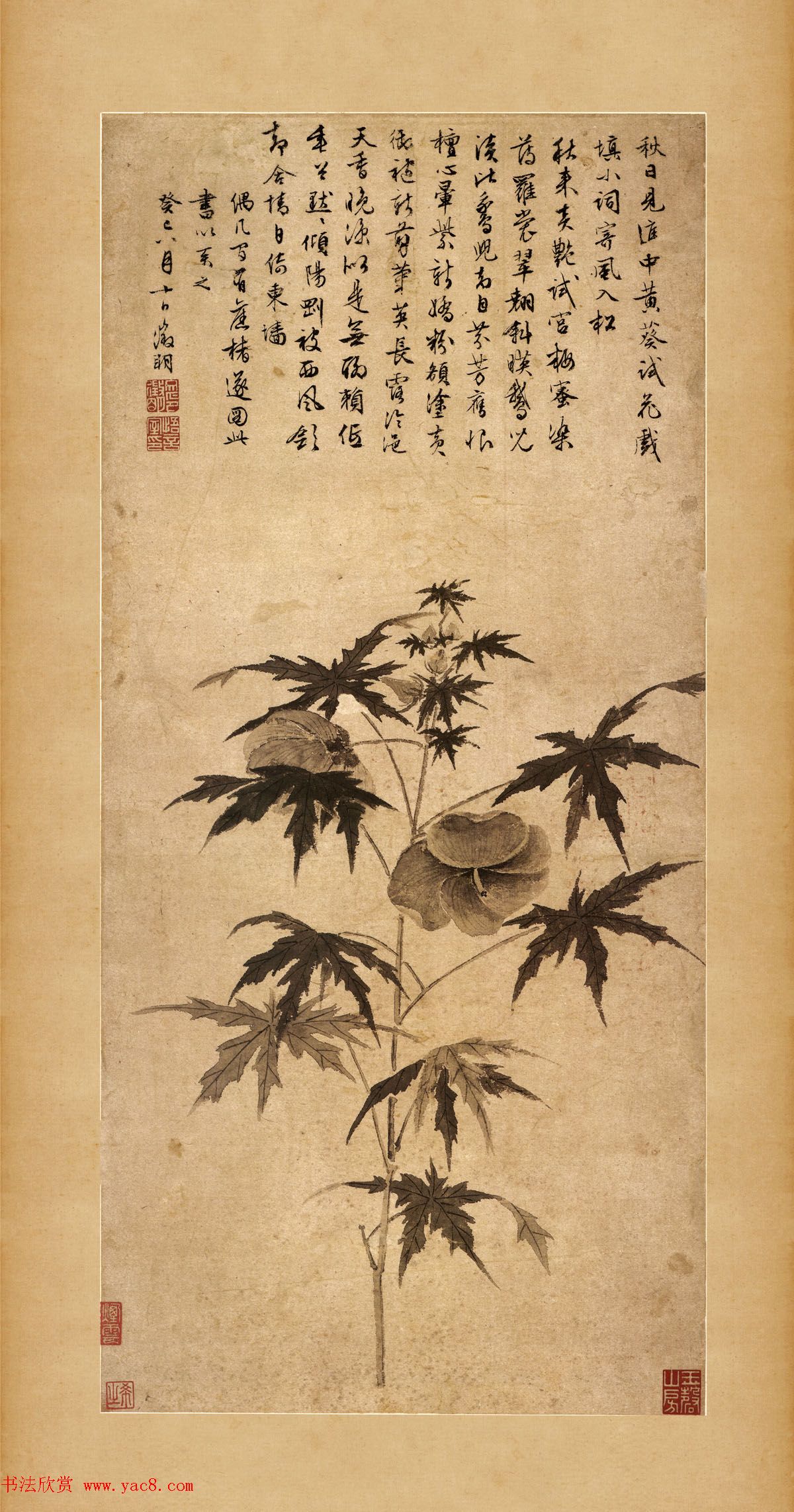 文徵明64岁书画欣赏《秋葵图》