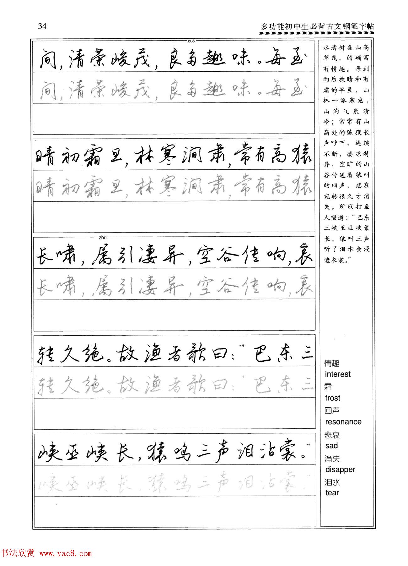 任平钢笔行书字帖《初中生必背古文》