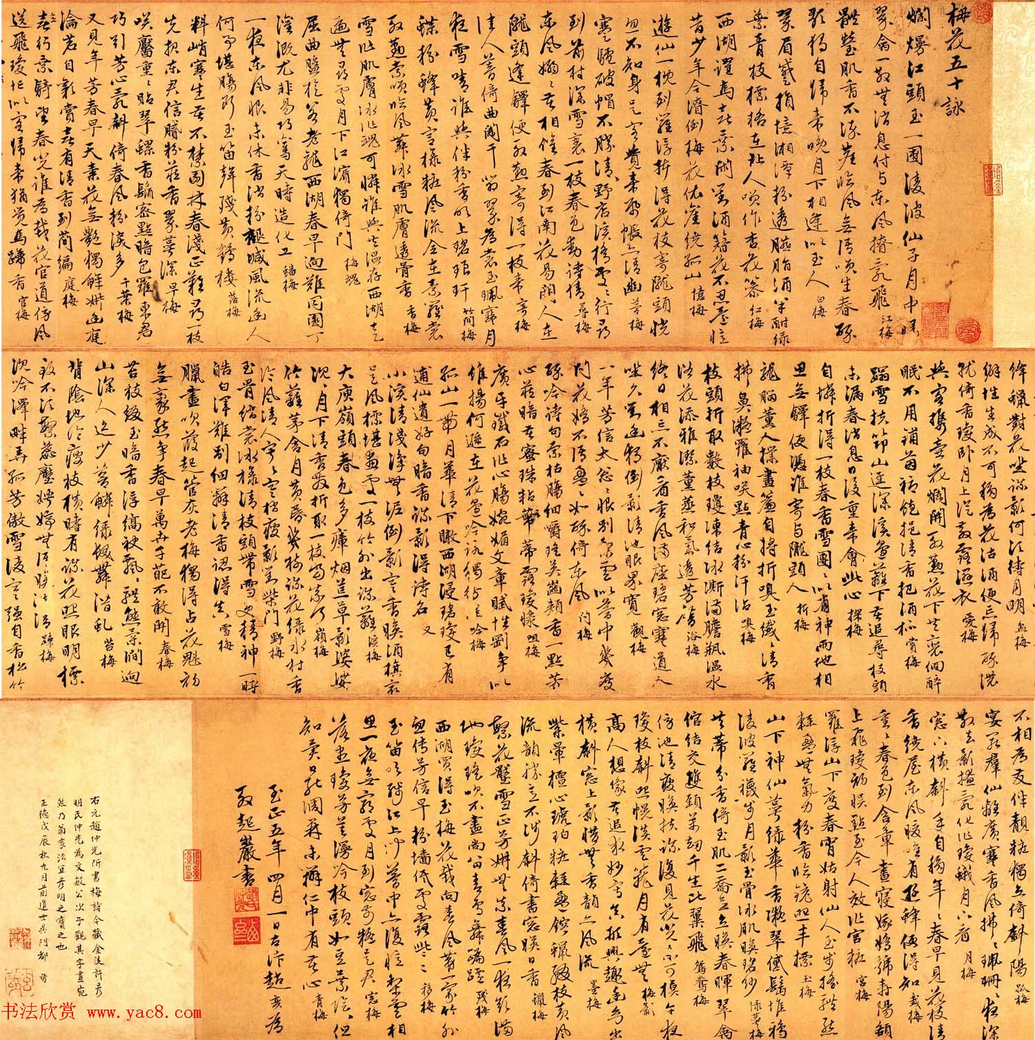 赵孟頫第三子赵奕行书梅花五十咏卷