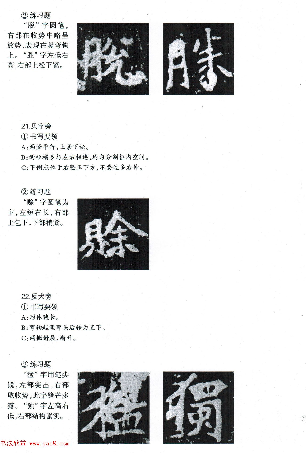 书法教程《张猛龙碑技法--偏旁部首》