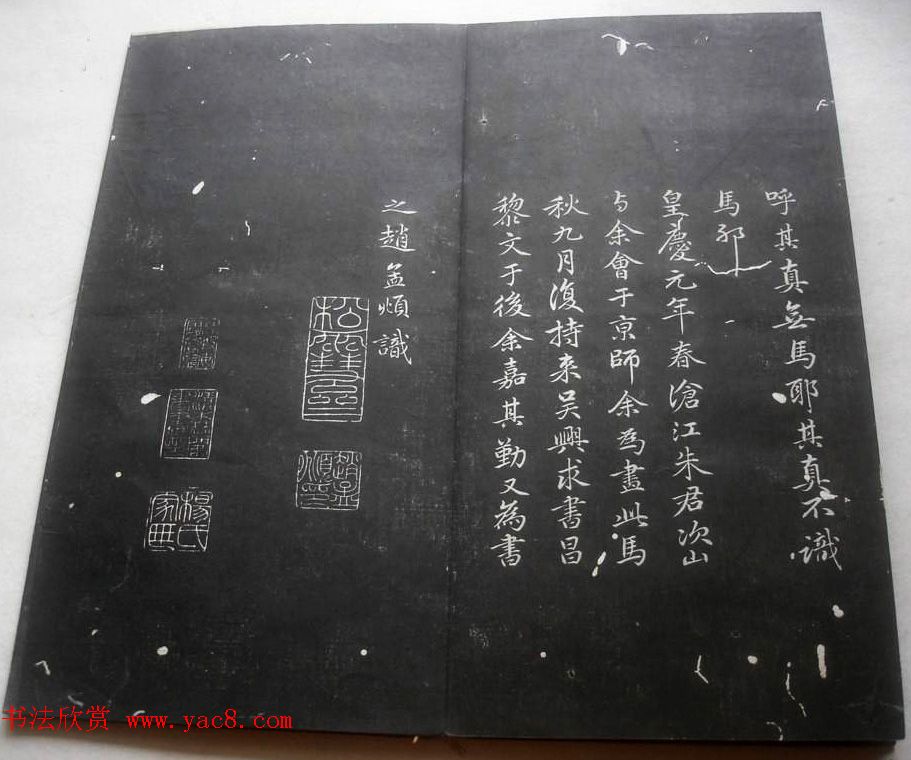 赵孟頫书法《松雪书马说》两种