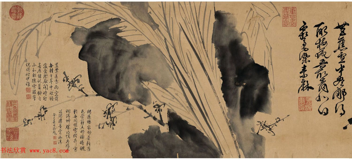 徐渭传世书画《水墨写生》卷 徐渭传世书画《水墨写生》卷