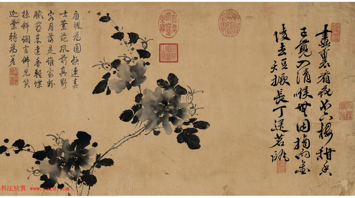 徐渭传世书画《水墨写生》卷 徐渭传世书画《水墨写生》卷