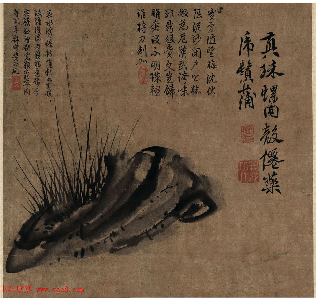 徐渭传世书画《水墨写生》卷 徐渭传世书画《水墨写生》卷