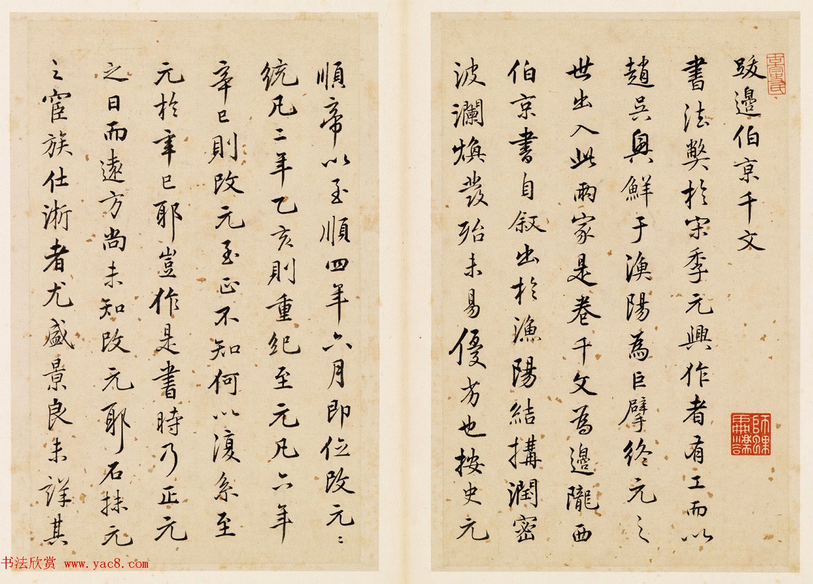 元代边武草书千字文册页三十七开