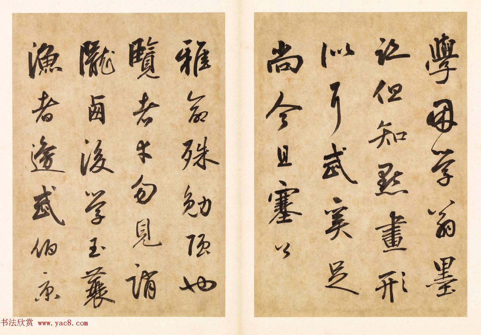 元代边武草书千字文册页三十七开