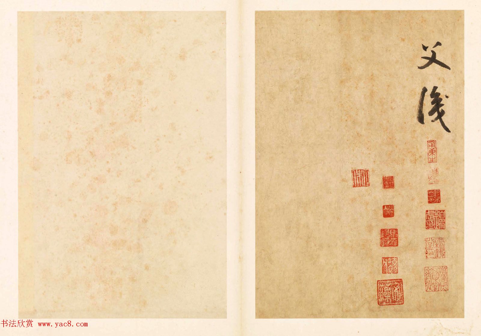 元代边武草书千字文册页三十七开