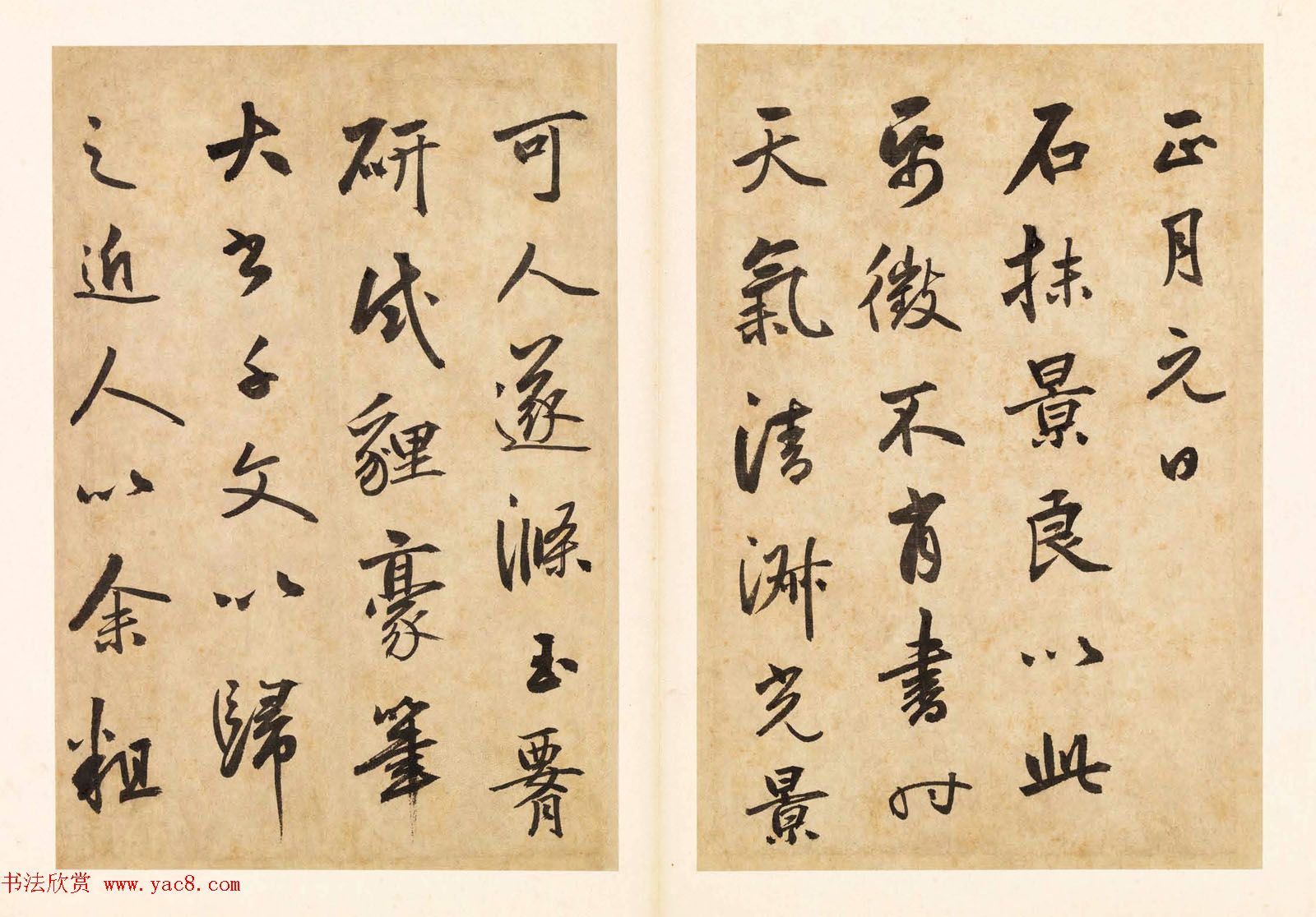 元代边武草书千字文册页三十七开